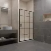 Душевая дверь RGW PA-07B R 120, изображение 2