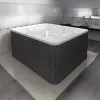 Ванны: Мини-бассейн гидромассажный Radomir Колизей Platinum 250х200 см, 1 в магазине Акватория