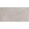 Керамогранит Coral Rock_GT Серый 30x60, Выбрать цвет: Серый, изображение 4