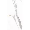 Керамогранит Angel Statuario_GT Белый 60x120 полир, изображение 3