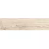 Плитка грес глаз. Мускат Светло-бежевый  15*60, изображение 6
