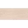 Плитка облиц. Eco Wood GT Светло-бежевый  60*25 (01), изображение 3