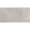 Керамогранит Coral Rock_GT Серый 30x60, Выбрать цвет: Серый, изображение 2