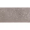 Керамогранит Coral Rock_GT Темно-серый 30x60, Выбрать цвет: Темно-серый, изображение 2