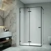 Душевой уголок RGW SV-040B прозрачное/черный, Цвет стекла: прозрачное, Цвет профиля: Черный, Выбрать размер: 1200x800