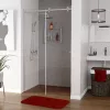 Душевые ограждения: Душевая дверь WasserKRAFT Vils 56R05 1 в магазине Акватория