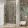 Душевые ограждения: Душевая дверь WasserKRAFT Aisch 55P04 1 в магазине Акватория