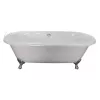Ванны: ВАННА чугунная ELEGANSA "GRETTA"  IRON FEET сhrome 1 в магазине Акватория