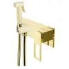 Гигиенический душ  BOHEME Q 147-GG, Выбрать цвет: Золото