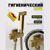 Душевые системы: Душ гигиенический ACWEN 82009BG золото 1 в магазине Акватория