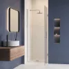 Душевая дверь RGW HO-011, Цвет стекла: прозрачное, Цвет профиля (вариация): Хром, Выбрать размер: 60, изображение 3