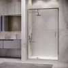 Душевая дверь RGW LE-103, Цвет стекла: прозрачное, Цвет профиля: Хром, Выбрать размер: 120, изображение 3