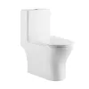 Санфаянс: Унитаз-моноблок с сиденьем BelBagno LOUNGE BB8618CPR-MN/SC 1 в магазине Акватория