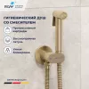 Смесители: Гигиенический душ со смесителем RGW SP-213Gb 1 в магазине Акватория