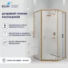 Душевые ограждения: Душевой уголок RGW HO-088Gb прозрачное/золото 1 в магазине Акватория