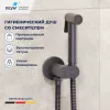 Смесители: Гигиенический душ со смесителем RGW SP-213Gr 1 в магазине Акватория