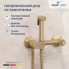 Смесители: Гигиенический душ с поворотным управлением RGW SP-216Gb 1 в магазине Акватория