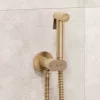 Гигиенический душ со смесителем RGW SP-213Gb, Выбрать цвет: Золото, изображение 2