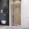 Душевая дверь RGW HO-014, Цвет стекла: прозрачное, Цвет профиля (вариация): Хром, Выбрать размер: 100, изображение 2