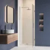Душевая дверь RGW HO-011, Цвет стекла: прозрачное, Цвет профиля (вариация): Хром, Выбрать размер: 60, изображение 6