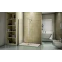 Душевая перегородка Good Door WALK IN SP, черный профиль