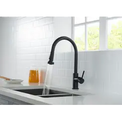 Смеситель для кухни с выдвижной лейкой Timo Saona 2316/03FL