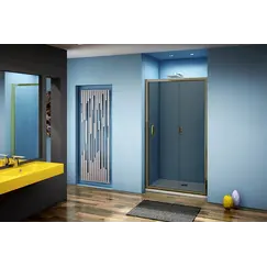 Душевая дверь раздвижная Good Door JAZZE WTW тонированное стекло