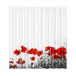 Шторка для ванной WasserKRAFT Main SC-47101