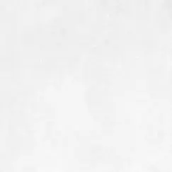 Плитка грес глаз. Boreal_GT Светло-серый  60*60