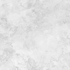 Плитка грес глаз. Terme_GT Серый 60*60