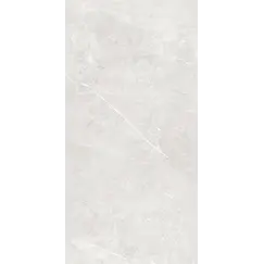 Плитка грес глаз. Bliss_GT Серый 60*60/60*120