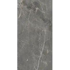 Керамогранит Tulip_GT Темно-серый  полир.