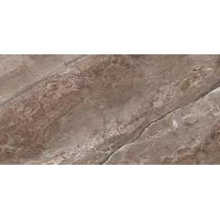 Плитка облиц. Sonesta GT Коричневый  50*25