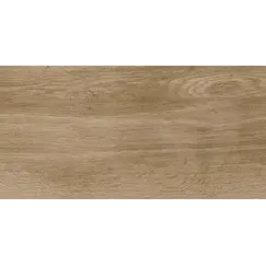 Керамогранит Nostrum_GT Бежевый 30x60