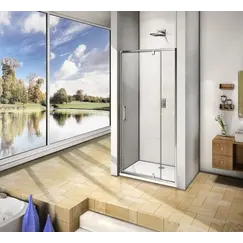 Душевая дверь распашная Good Door Orion WTW-PD