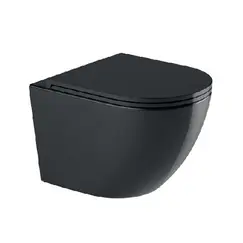 WW MERZBACH 043 GL-BL Унитаз подвесной