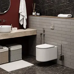 Унитаз Ceruttispa TANARO Aria MW CT9236  подвесной безободковый белый матовый