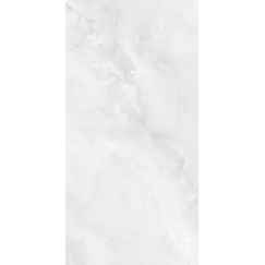 Керамогранит Agra_GT Светло-серый  60x120