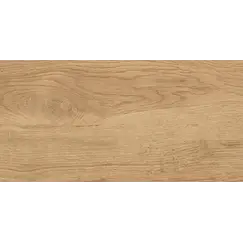 Керамогранит Florida_GT Бежевый 30x60