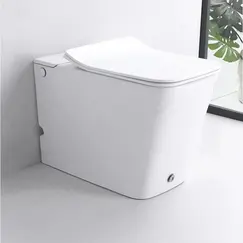 Унитаз Ceruttispa CT7269 DISGRAZIA Pulse приставной с функцией импульсного смыва