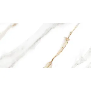 Плитка облиц. Capella GT Белый  50*25, Выбрать цвет: Белый