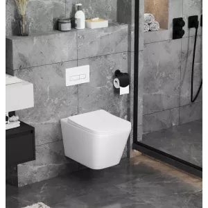 Унитаз Ceruttispa  MAIELLA Aria MW CT9164  подвесной безободковый белый матовый, Выбрать цвет: Белый матовый