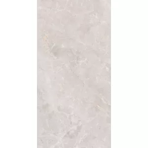 Керамогранит Montera_GT Светло-серый 60x120