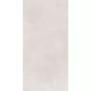 Керамогранит Cassini_GT Светло-серый 60x120, Выбрать цвет: Светло-серый