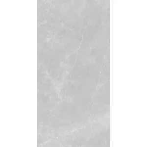 Керамогранит Nioba_GT Серый 60x120, Выбрать цвет: Серый