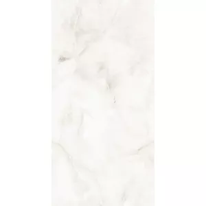 Керамогранит AVS Tronco White 60x120 полированный