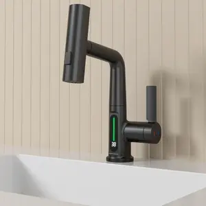 Смеситель для раковины Black&White SD3027B