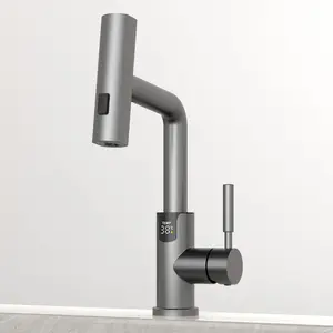 Смеситель для раковины Black&White SD3028GM