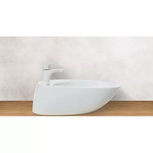 Раковина накладная WeltWasser SK ELBACH 1037, изображение 2