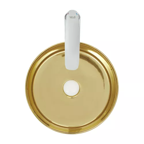 Раковина накладная WeltWasser SK ELBACH 3134, Выбрать цвет: Золотистая, изображение 3